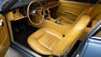 Senape LeatherInterior image