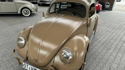 BrownColor image